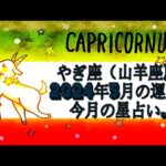 やぎ座（山羊座)・2024年5月の運勢｜今月の星占い.