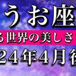 うお座♓︎2024年4月後半 生きる世界の美しさに気づくPisces tarot reading✴︎April 2024