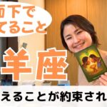 【山羊座】大丈夫✨乗り越える能力は全て備わっています｜癒しの占いで運勢をみる