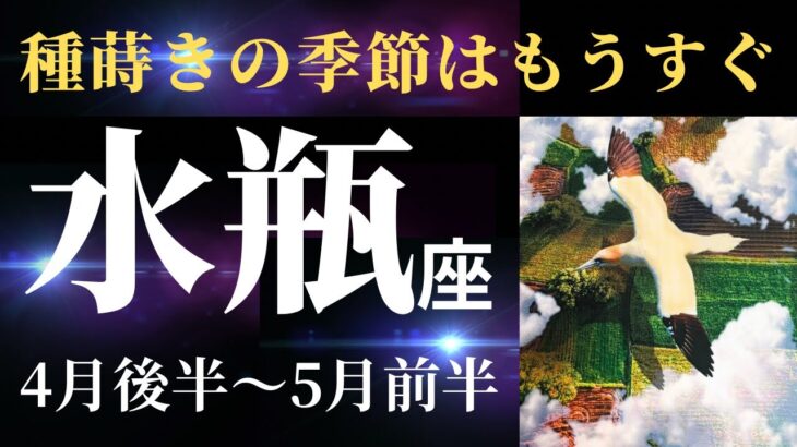 【水瓶座4月後半〜5月前半】あなたという名の土壌に、どんな種を植えていきたいですか？（タロット&オラクルカードリーディング）