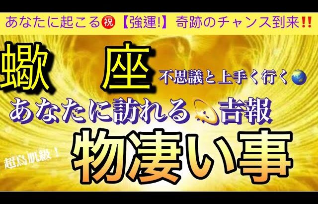 蠍　座🌎【ついに来る大激変😊】あなたに起こる奇跡の神展開‼️幸せ波動で引き寄せる物凄い事❤️‍🔥深掘りリーディング#潜在意識#魂の声#開運