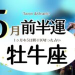 ※個人鑑定級【牡牛座♉️】2024年5月前半運勢✨これまでの事に折り合いをつけて解放へ☺️🙌🌈誕生日も楽しく過ごせそう💖希望していた状況でなかったとしても新たな可能性が広がる良い流れ✨