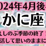 🍀蟹座♋4月後半タロットリーディング│全体運・恋愛・仕事・人間関係