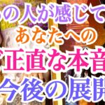 【リアルな本音注意‼️】ど正直過ぎ＆神展開までバラエティに富んでます😁今あの人が感じているあなたへのど正直な本音と今後の展開💞