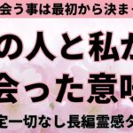 【見た時がタイミング🔔】相手と出会った理由❤️ツインレイ/ソウルメイト/運命の相手/複雑恋愛/曖昧な関係/復縁/片思い/音信不通/ブロック/未既読スルー/好き避け/恋愛/結婚/占い/リーディング/霊視