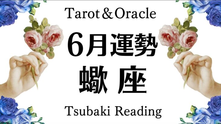 蠍座、強運の風が吹く急展開！！！すごいことが起ころうとしている…一つの区切りと救済。６月全体運勢♏️仕事恋愛対人[個人鑑定級タロットヒーリング]