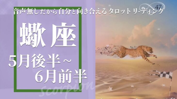 【さそり座】終わりのプロセス・理解し納得して手放す★2024年5月後半から6月前半★タロットリーディング【音声なし】【蠍座】