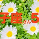 【獅子座さん】5月の運勢・アドバイス【タロットカードリーディング】