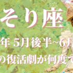 【さそり座】2024年5月後半運勢　奇跡の復活が何度でも✨絶好調、ミラクル展開がやってきます💌自分を信じて進んで、正解はもう心の中にあります🌈✨【蠍座 ５月運勢】【タロット】