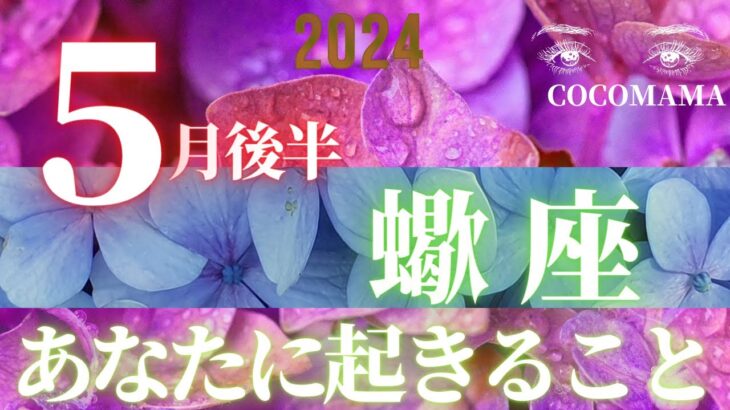 蠍座♏️ 【５月後半★あなたに起きること】２０２４　ココママのなんで？見えるの？！！！個人鑑定級タロット占い🔮