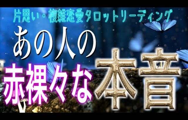 【緊急🚨相手の気持ち】片思い複雑恋愛タロットリーディング🦋個人鑑定級占い🔮