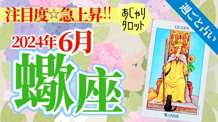 【蠍座6月】注目度急上昇‼️待ち時間を制し、読書で今を極める秘訣🥳✨🔮🧚2024タロット&オラクル《週ごと》