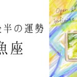 【うお座】5月後半の運勢　魚座ワールド全開🔥夏にかけて盛り上がっていくよ‼︎ 2024年のタロット占い