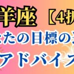 山羊座♑️（4択）あなたの目標のためのアドバイス✨✨✨