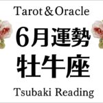 ６月の牡牛座、最高の出逢い。すべて報われていく。理想郷へ突き進む。不安解消！６月全体運勢♉️仕事恋愛対人[個人鑑定級タロットヒーリング]