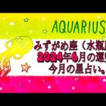 みずがめ座（水瓶座)・2024年6月の運勢｜今月の星占い.