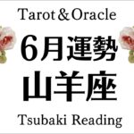 お〜〜い山羊座は絶っっ対観てね。あらゆることが動き出す。次の章へ入ります！！！6月全体運勢♑️仕事恋愛対人[個人鑑定級タロットヒーリング]