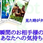 🌹恋愛タロット・オラクル占い🌹【見た時がタイミング‼️忖度なしちょい辛口あります】今この瞬間のお相手様の様子と、あなたへの気持ち