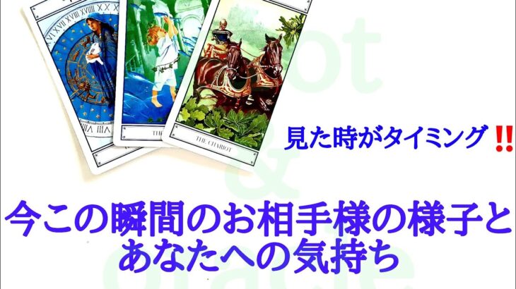 🌹恋愛タロット・オラクル占い🌹【見た時がタイミング‼️忖度なしちょい辛口あります】今この瞬間のお相手様の様子と、あなたへの気持ち