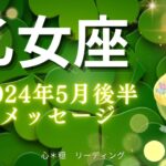 【おとめ座5月後半】幸運シャワーが降り注ぐ💖🌟本当の力が爆発する💥😎自信を持ってOK🙆‍♀️❣️