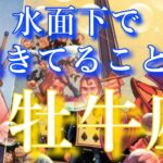 【牡牛座👑】水面下で起きていること😳CHIMA✨タロット占い＆オラクルカードリーディング🔮星座別⭕