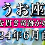 うお座♓︎2024年6月前半　もう何にも染まない🔥純真を貫き奇跡が始まる　Pisces tarot reading✴︎June 2024