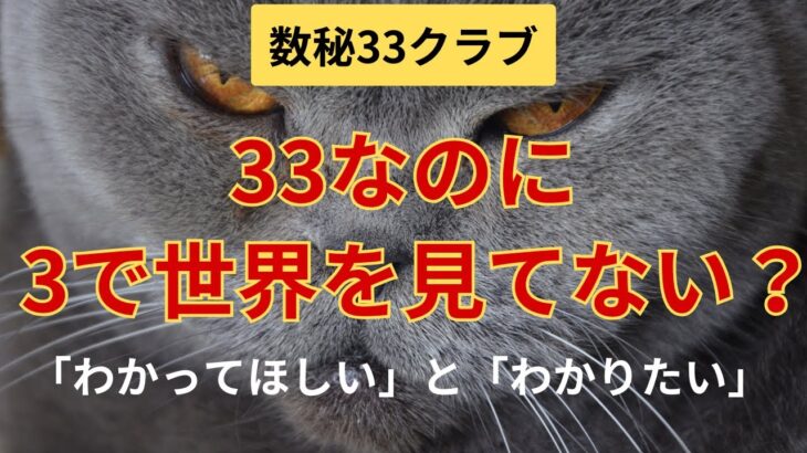 【数秘33クラブ】33なのに3で世界を見てない？