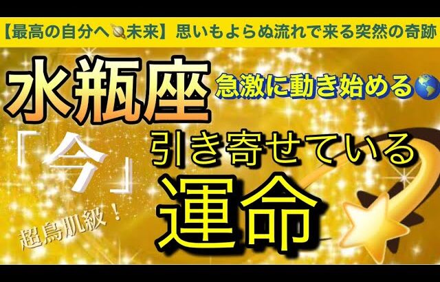 水瓶座🌎【最高の未来の自分へ❣️神展開🥹】ついに動き始める突然の奇跡🤩運命❤️‍🔥深掘りリーディング#潜在意識#魂の声#ハイヤーセルフ