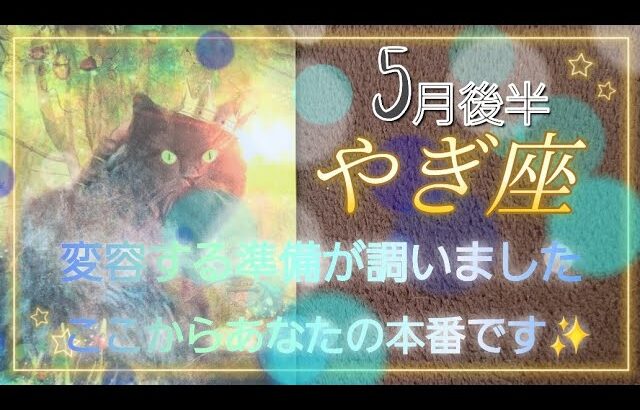 【５月後半🍀】山羊座さんの運勢🌈変容の準備が調ったようです！ここからあなたの本番です！幸せたくさん受け取っていこう✨