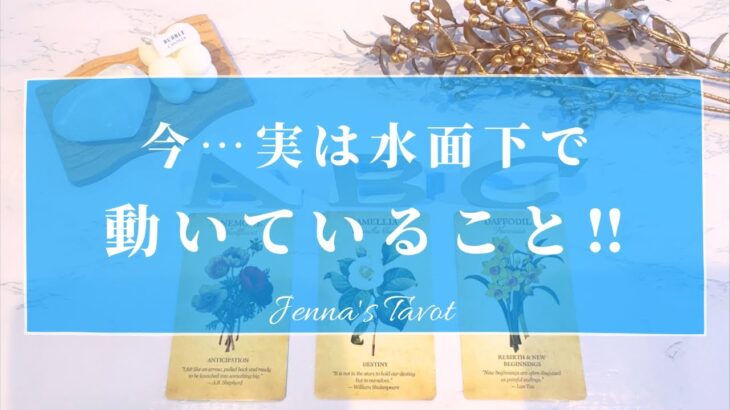 実は…こんな事が🥺【タロット🔮】今、水面下で動いていること【オラクルカード】人生・夢・人間関係・仕事・恋愛・恋の行方・出会い・悩み・願望実現・未来・引き寄せ・あなたへのメッセージ