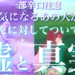 💕一部辛口⚠️🐉気になるあの人があなたに対してついている嘘、抱いている真実🦋