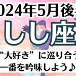 🌹獅子座♌5月後半タロットリーディング│全体運・恋愛・仕事・人間関係