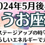 🌹うお座♓5月後半タロットリーディング│全体運・恋愛・仕事・人間関係