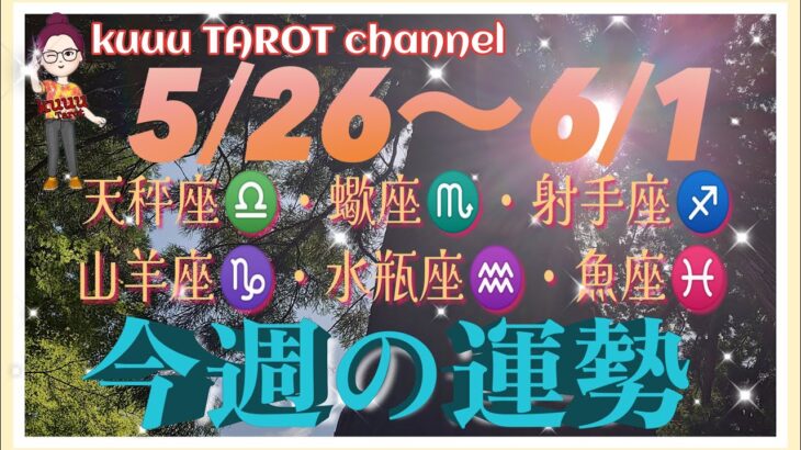 6月突入‼️【5/26〜6/1週間リーディング】天秤座♎️蠍座♏️射手座♐️山羊座♑️水瓶座♒️魚座♓️#2024 #タロット占い #星座別