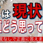 【辛口もありでハッキリ伝えます】彼はこの現状、正直どうおもってる？【波動が上がる恋愛タロット占い】あまのじゃく、プライドが高い、わかりにくい彼の本音をわかりやすく代弁❤️男心アドバイスさせて頂ます