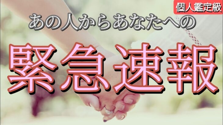 ちょっと待ってー!!あの人からあなたへ緊急速報が入りました❣️恋愛タロット