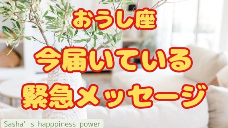 【牡牛座】パートナー運が上がっていきそうです❗️＃タロット、＃オラクルカード、＃当たる、＃緊急