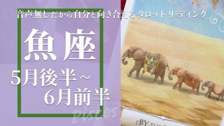 【うお座】今までに説明をつけながら確かなものを探している途中★2024年5月後半から6月前半★タロットリーディング【音声なし】【魚座】