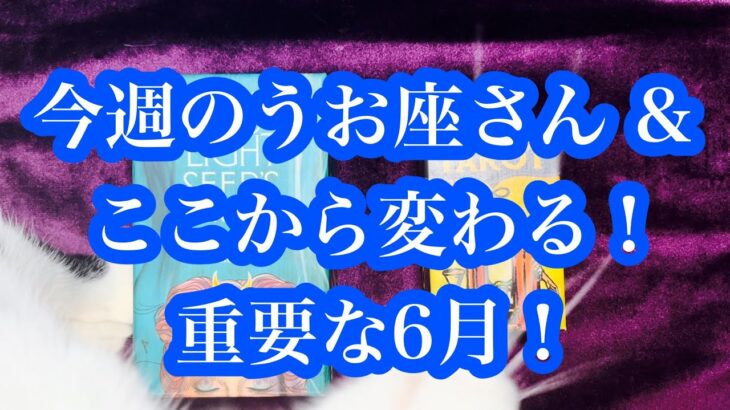 重要な6月！どこに向かいますか？今週のうお座さん & 夏至。 Important June! This week’s Pisces & Summer Solstice.