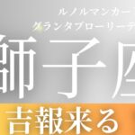 2024年6月【獅子座】起こること～吉報来る～【恐ろしいほど当たるルノルマンカードリーディング＆アストロダイス】