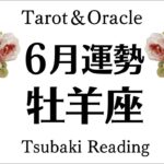 牡羊座、必見⚠️超重要な節目を迎える⚠️絶対に知っておいてほしいこと！６月全体運勢♈️仕事恋愛対人[個人鑑定級タロットヒーリング]