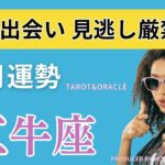 【牡牛座】6月はソウルメイトと出会う❗️直感のままに「選んで」大満足❗️ボーナストークも必聴ですよ♡仕事恋愛人間関係♉️タロット オラクル