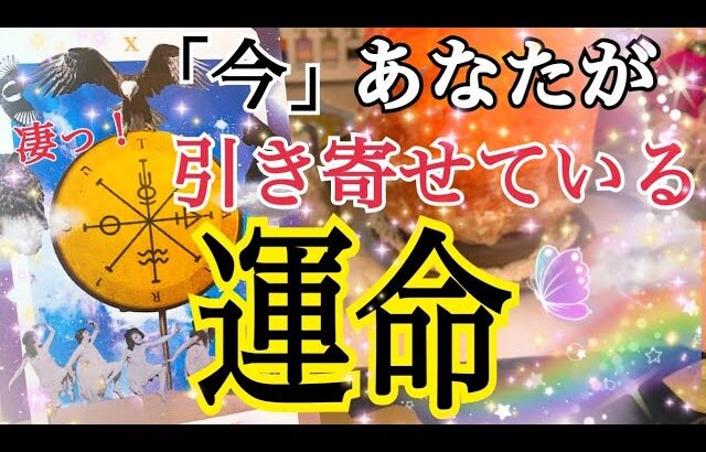 【物凄い展開でした😳❗️】「今」あなたが引き寄せている運命🔮⚡️個人鑑定級タロット占い