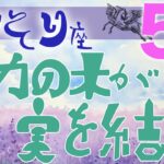 【さそり座】2024年5月後半の運勢♏️〝努力は実を結ぶ成功・願望成就の未来へ‼️歩んできた道や輝く自分を信じていくことがポイント⭐️〟仕事・人間関係のタロットリーディング🔮