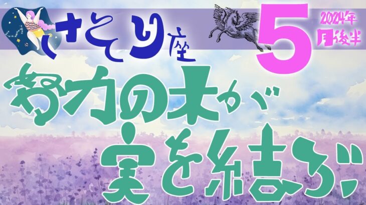 【さそり座】2024年5月後半の運勢♏️〝努力は実を結ぶ成功・願望成就の未来へ‼️歩んできた道や輝く自分を信じていくことがポイント⭐️〟仕事・人間関係のタロットリーディング🔮