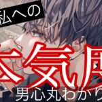 【少し辛口もハッキリお答えします】彼の私への嘘偽りのない本音を忖度無しでハッキリ伝えます【波動上げ恋愛タロット占い】120%本気、気づいてないけど❤️彼の魅力や相性、本音の気持ちから男心アドバイス