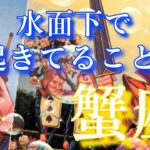 【蟹座👑】水面下で起きていること😳CHIMA✨タロット占い＆オラクルカードリーディング🔮星座別⭕