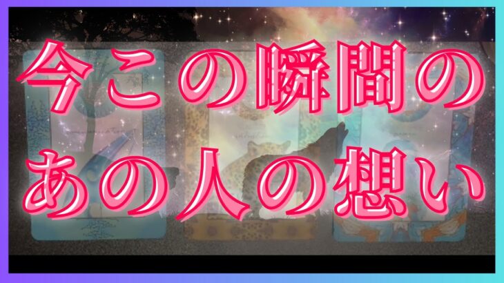 今この瞬間のお相手が考えていること🦄💖タロット🌞🌈