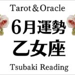 すべての乙女座に観てほしい！！！天からの祝福と応援がヤバすぎる。恋愛運も超最高❣️6月全体運勢♍️仕事恋愛対人[個人鑑定級タロットヒーリング]