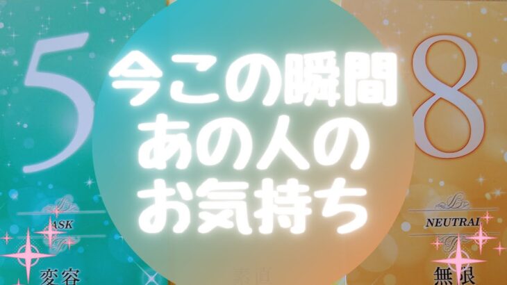 🍀🕊今この瞬間あの人のお気持ち🕊🍀【🔮ルノルマン＆タロット＆オラクルカードリーディング🔮】（忖度なし）